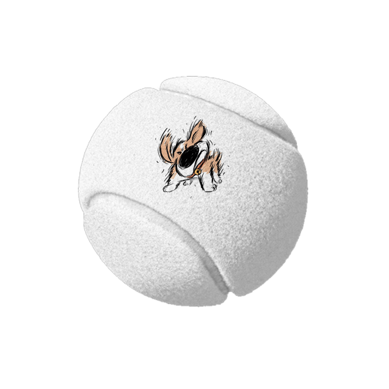 Honden tennisballen met aangep - Wedding Qq recensie en prijs